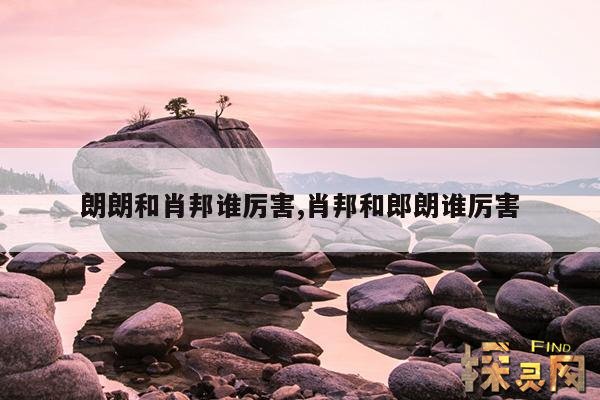 朗朗和肖邦谁厉害,肖邦和郎朗谁厉害