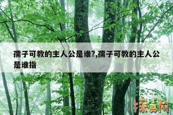 孺子可教的主人公是谁?,孺子可教的主人公是谁指