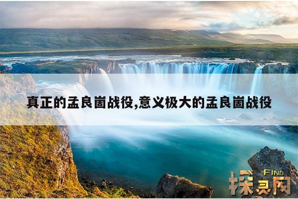 真正的孟良崮战役,意义极大的孟良崮战役