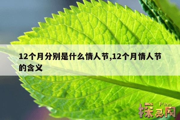 12个月分别是什么情人节,12个月情人节的含义