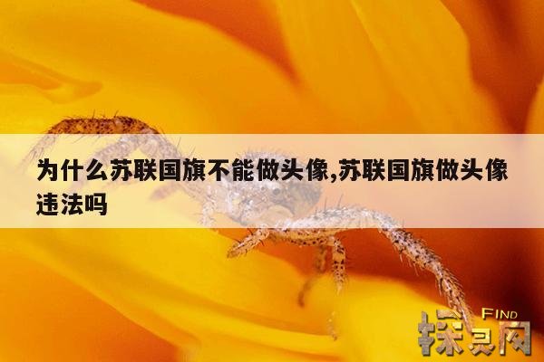为什么苏联国旗不能做头像,苏联国旗做头像违法吗