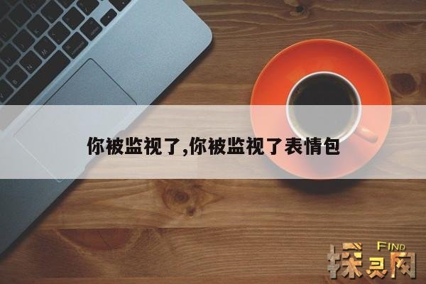 你被监视了,你被监视了表情包