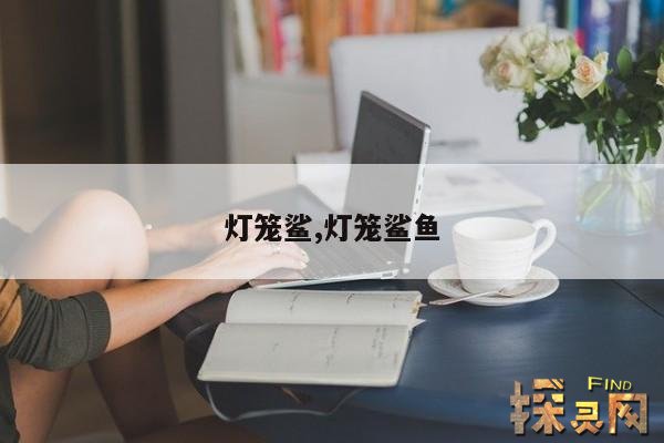 灯笼鲨,灯笼鲨鱼