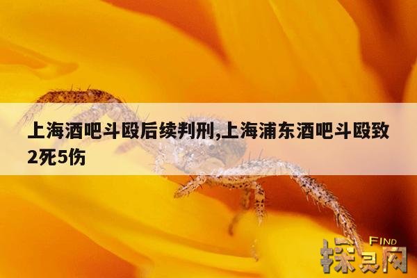 上海酒吧斗殴后续判刑,上海浦东酒吧斗殴致2死5伤