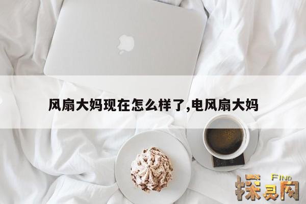 风扇大妈现在怎么样了,电风扇大妈