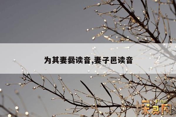 为其妻爨读音,妻子邑读音