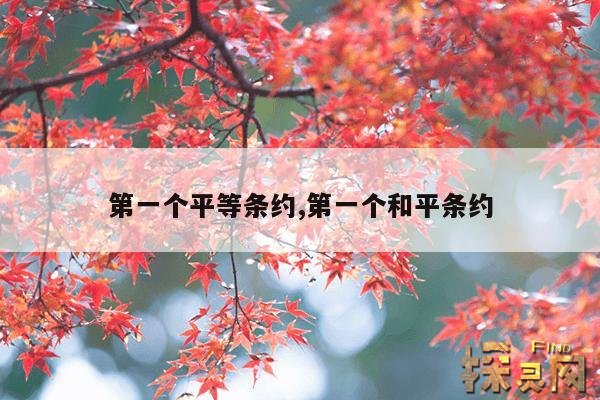 第一个平等条约,第一个和平条约