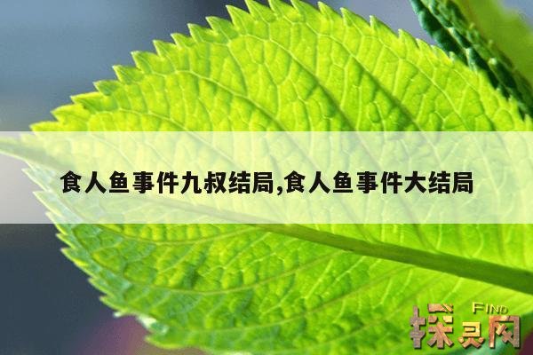 食人鱼事件九叔结局,食人鱼事件大结局