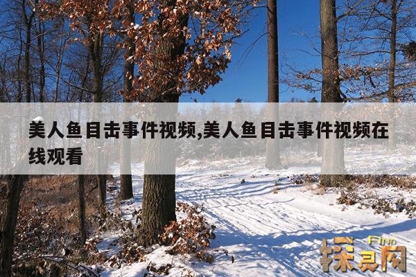 美人鱼目击事件视频,美人鱼目击事件视频在线观看