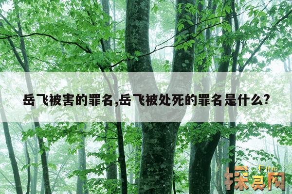 岳飞被害的罪名,岳飞被处死的罪名是什么?