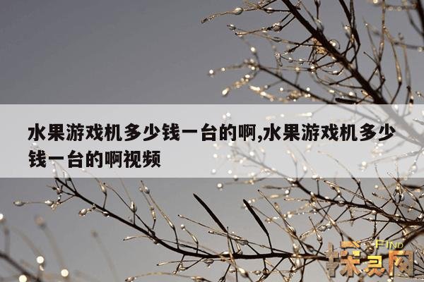 水果游戏机多少钱一台的啊,水果游戏机多少钱一台的啊视频