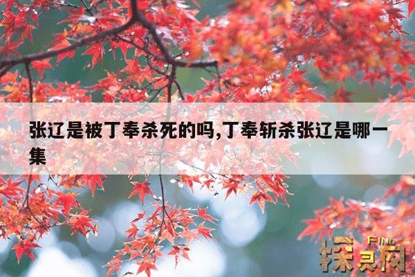 张辽是被丁奉杀死的吗,丁奉斩杀张辽是哪一集
