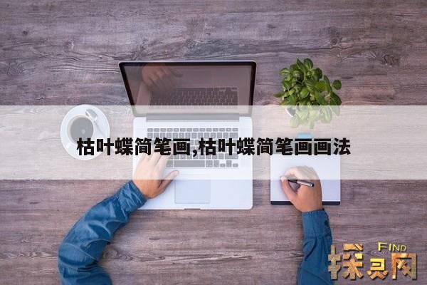 枯叶蝶简笔画,枯叶蝶简笔画画法
