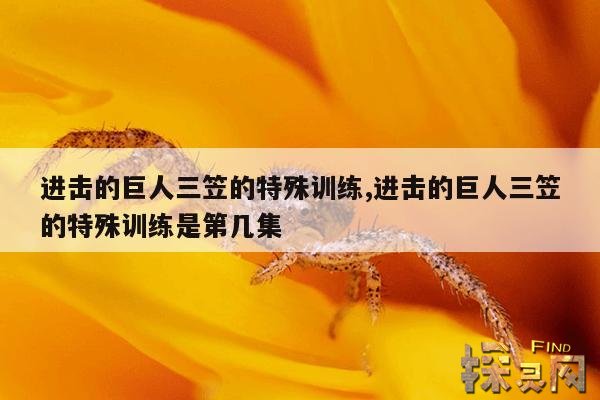 进击的巨人三笠的特殊训练,进击的巨人三笠的特殊训练是第几集