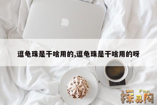 逗龟珠是干啥用的,逗龟珠是干啥用的呀