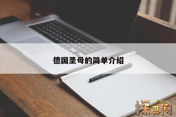 德国圣母的简单介绍