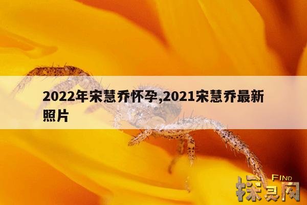 2022年宋慧乔怀孕,2021宋慧乔最新照片