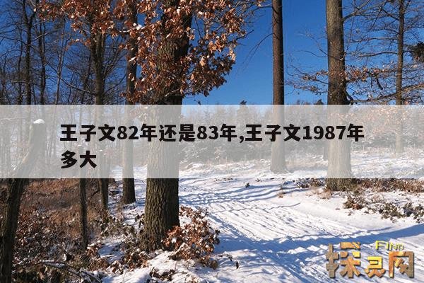王子文82年还是83年,王子文1987年多大