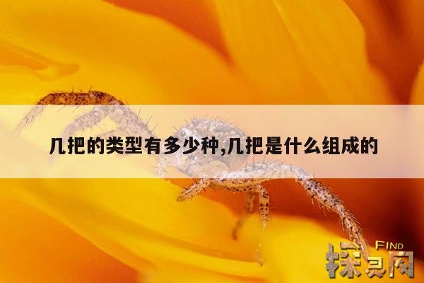 几把的类型有多少种,几把是什么组成的