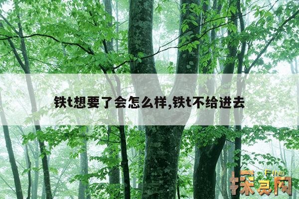 铁t想要了会怎么样,铁t不给进去