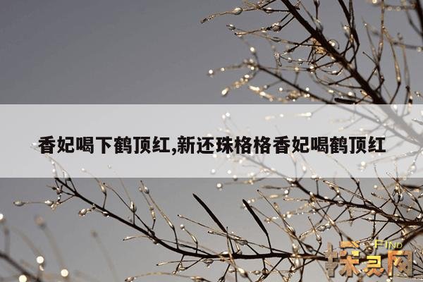 香妃喝下鹤顶红,新还珠格格香妃喝鹤顶红