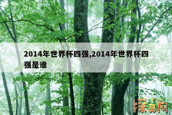2014年世界杯四强,2014年世界杯四强是谁