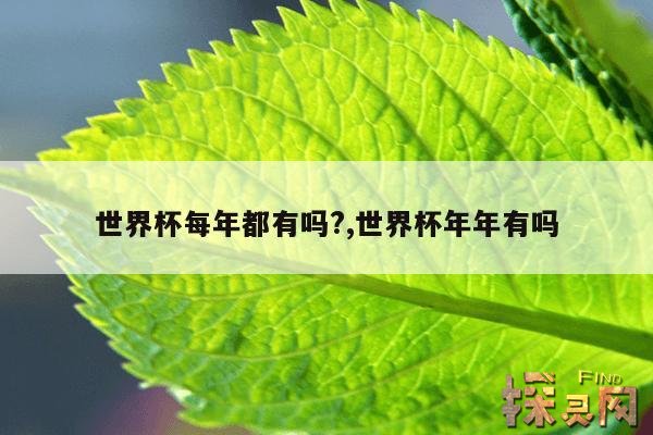 世界杯每年都有吗?,世界杯年年有吗