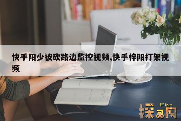 快手阳少被砍路边监控视频,快手梓阳打架视频