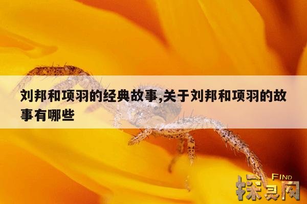 刘邦和项羽的经典故事,关于刘邦和项羽的故事有哪些