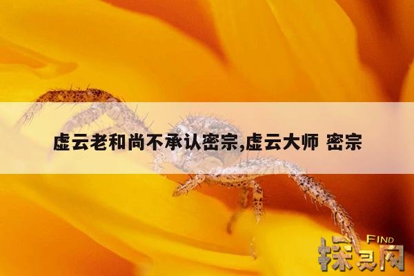 虚云老和尚不承认密宗,虚云大师 密宗