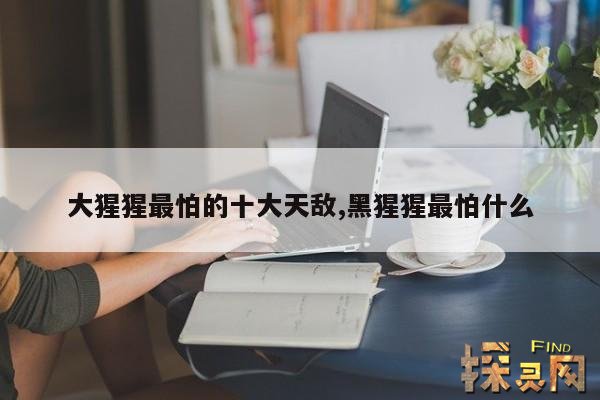 大猩猩最怕的十大天敌,黑猩猩最怕什么