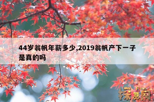 44岁翁帆年薪多少,2019翁帆产下一子是真的吗