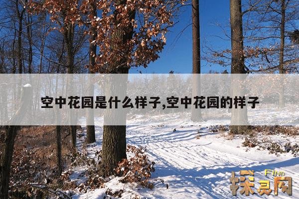 空中花园是什么样子,空中花园的样子