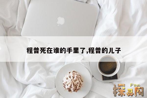 程普死在谁的手里了,程普的儿子