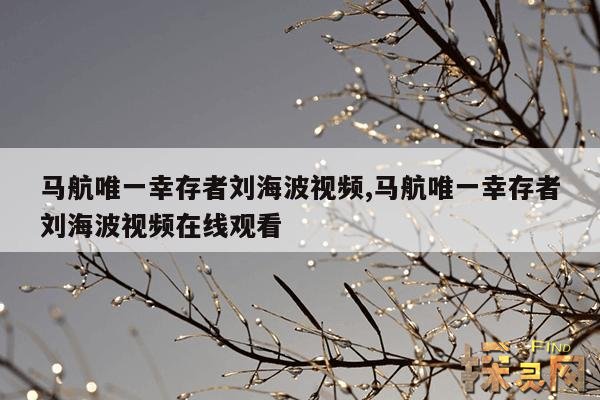 马航唯一幸存者刘海波视频,马航唯一幸存者刘海波视频在线观看