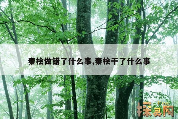 秦桧做错了什么事,秦桧干了什么事