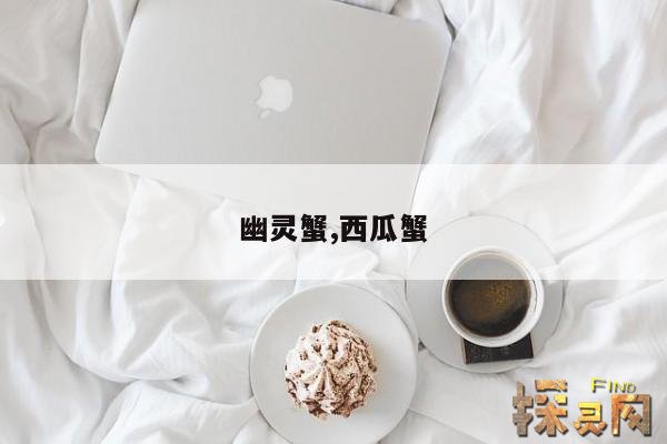 幽灵蟹,西瓜蟹