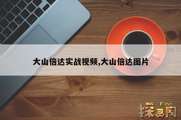 大山倍达实战视频,大山倍达图片