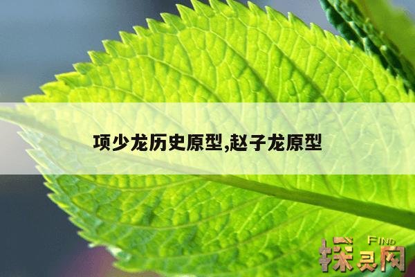 项少龙历史原型,赵子龙原型
