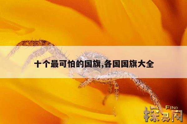 十个最可怕的国旗,各国国旗大全