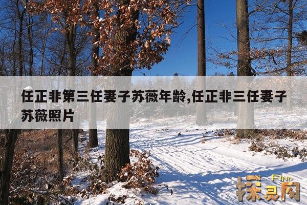 任正非第三任妻子苏薇年龄,任正非三任妻子苏薇照片