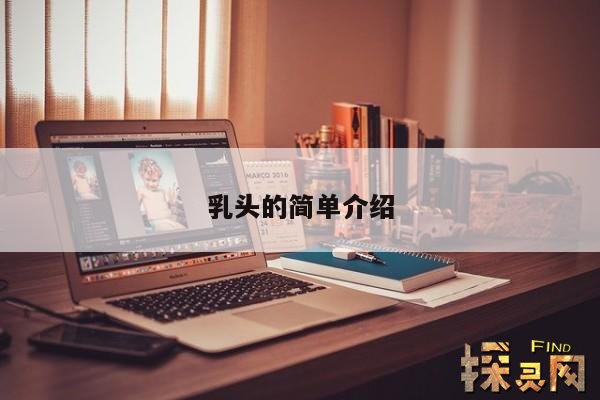 乳头的简单介绍