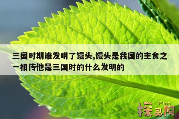 三国时期谁发明了馒头,馒头是我国的主食之一相传他是三国时的什么发明的