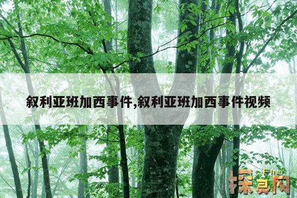 叙利亚班加西事件,叙利亚班加西事件视频