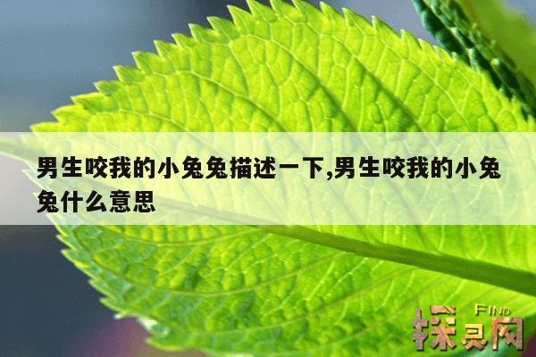 男生咬我的小兔兔描述一下,男生咬我的小兔兔什么意思