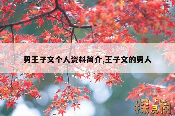 男王子文个人资料简介,王子文的男人