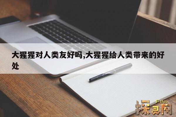 大猩猩对人类友好吗,大猩猩给人类带来的好处