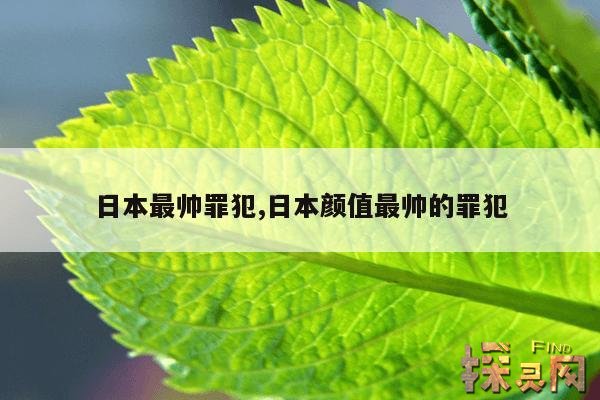 日本最帅罪犯,日本颜值最帅的罪犯