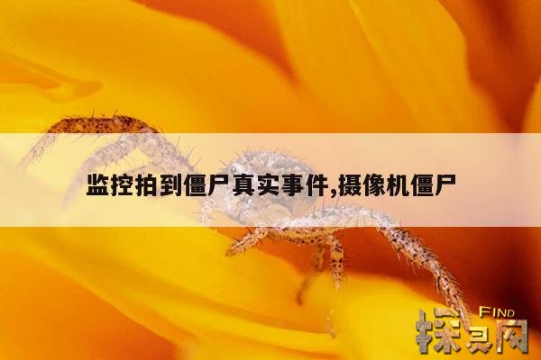监控拍到僵尸真实事件,摄像机僵尸