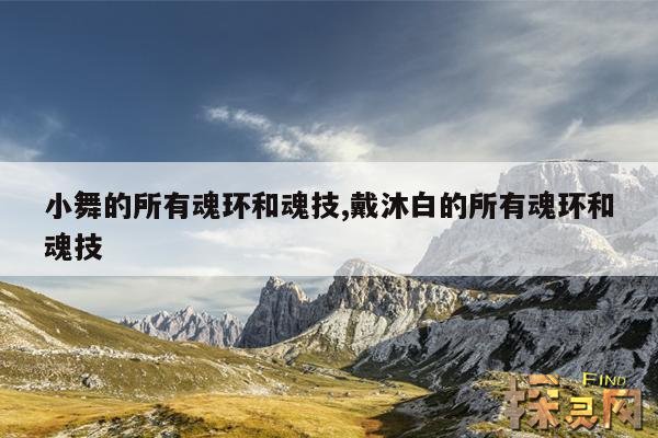 小舞的所有魂环和魂技,戴沐白的所有魂环和魂技